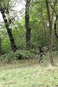 Black-haired Makes A Splash As She Pisses Outside