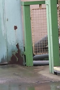 Compilation Of Seducing Peeing European Teenagers