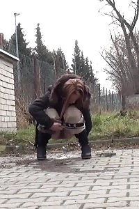 Ginger Pretty Pisses In The Mid Of The City