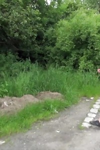 Nice-looking Babe Makes A Pissy Mess Around A Grassy Path