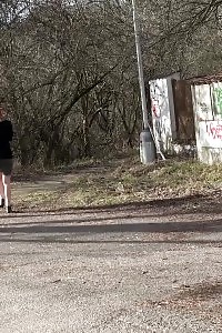 Excellent Ginger Pees In The Middle Of Road