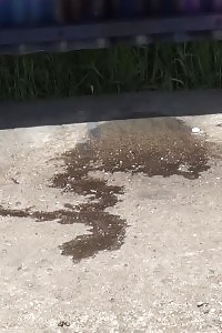 Impressive Ginger Pisses Onto A Wooden Bench